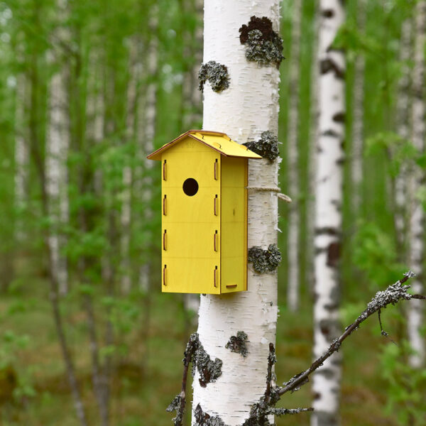 Eevi Linnunpönttö Kolo